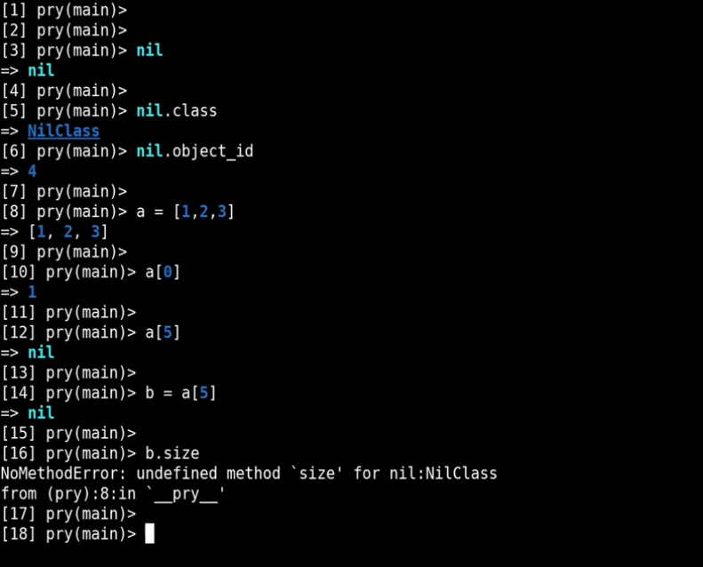 Ruby Nil programming code