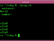 code written in a computer program